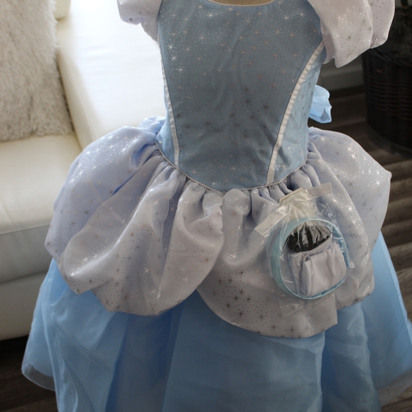 CINDERELLA COSTUME - Picture 10 of 14